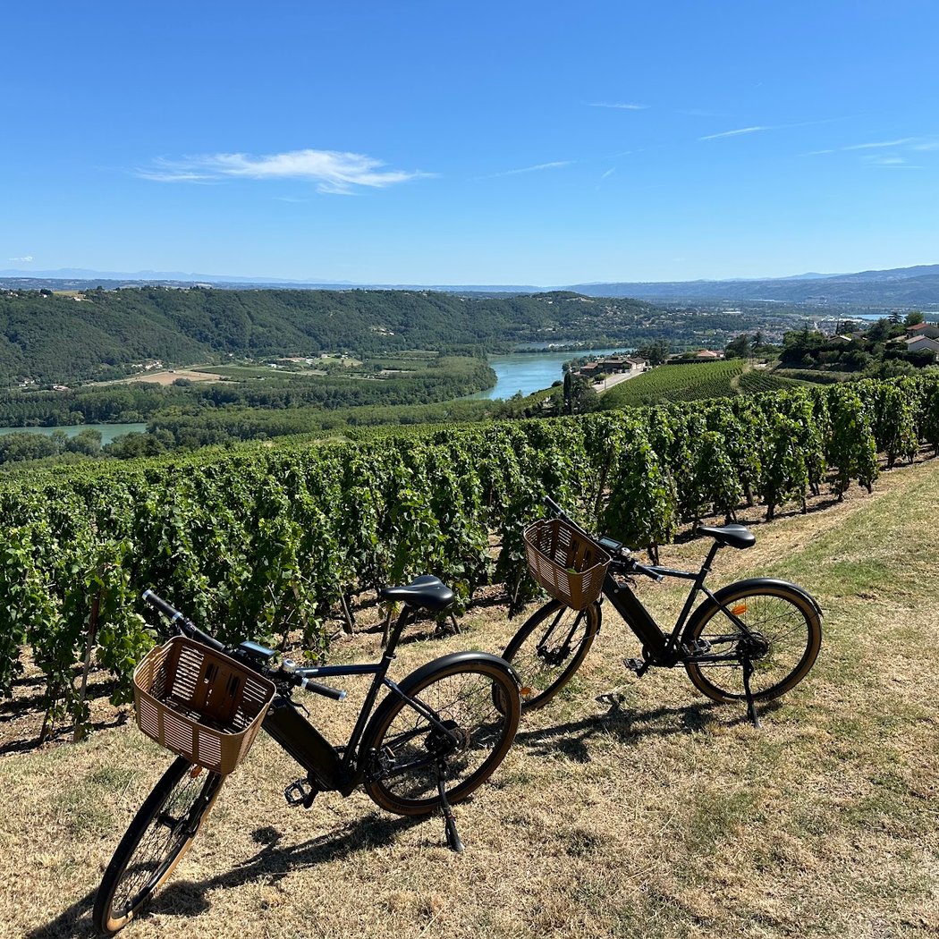Wine and Ride Condrieu - visite des caves à vélo 1