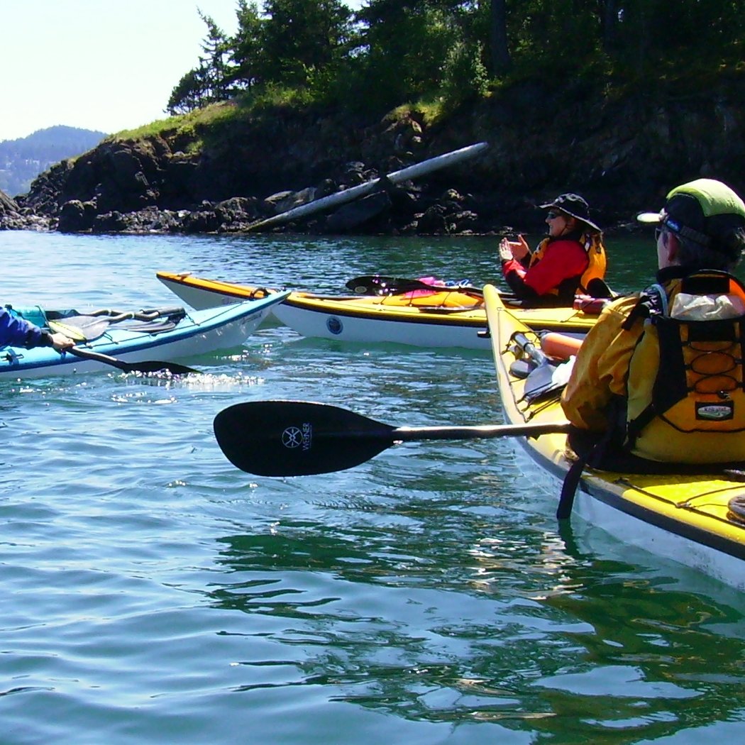 Kayaking 101: Sunset Paddle 3