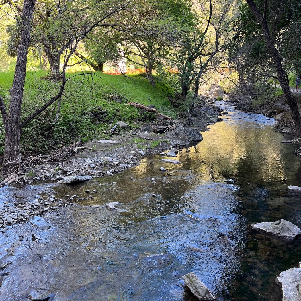 Penitencia Creek Trail 2