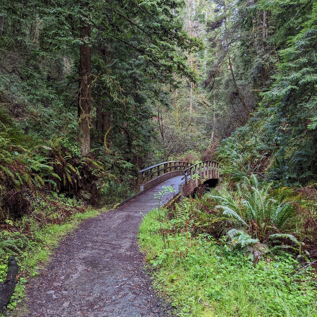 Van Damme State Park 3