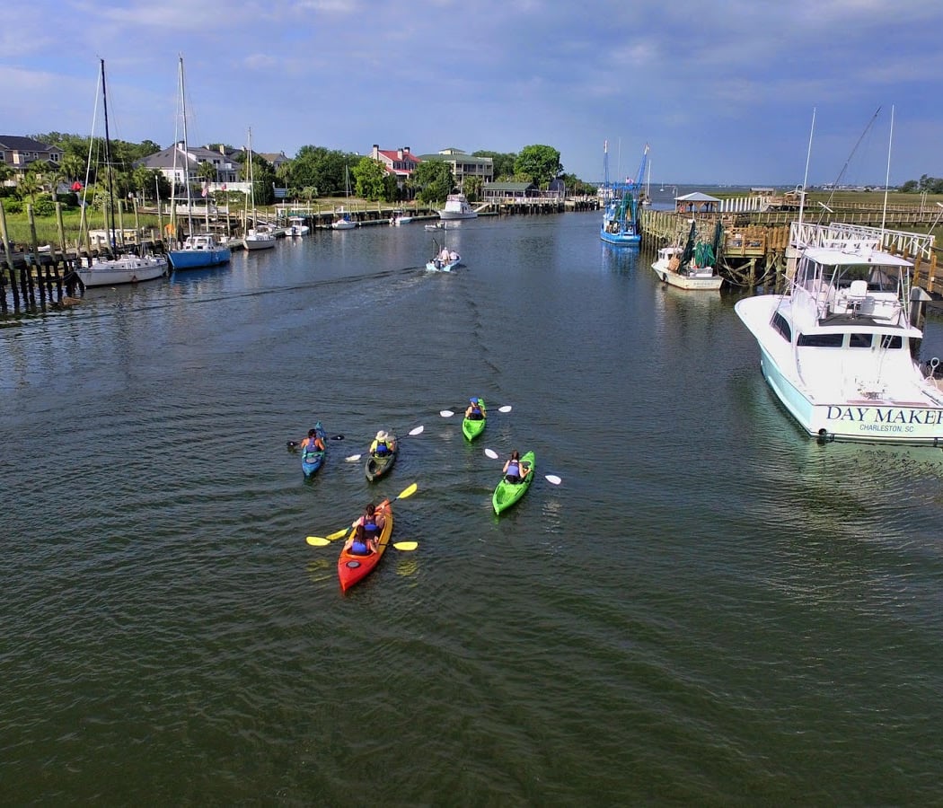 Nature Adventures on Shem Creek 2