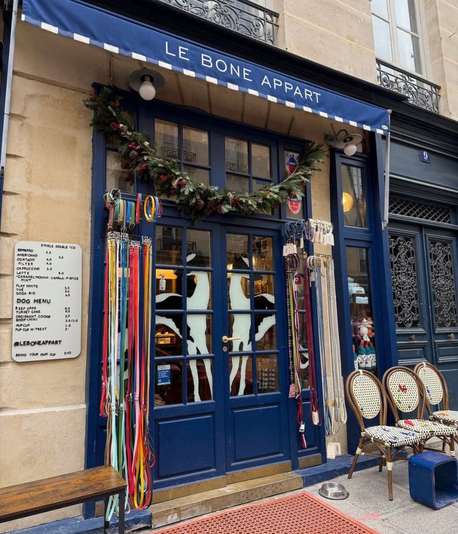 Le Bone Appart 2