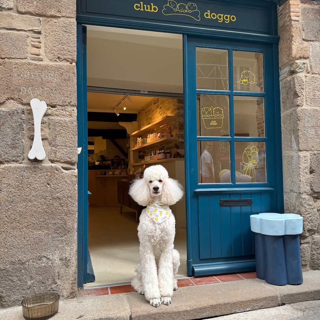 Club Doggo - Concept-store et café pour chiens à Rennes 1