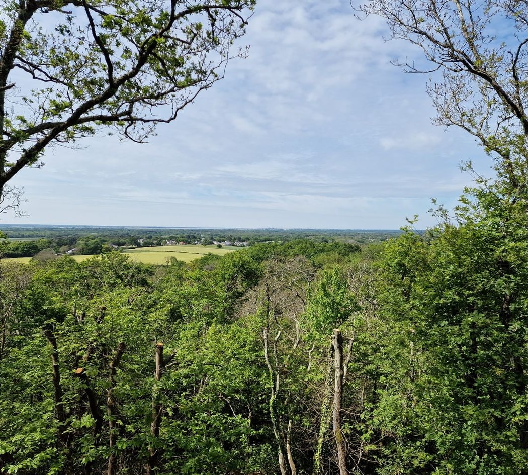 Sentier du Belvédère 3