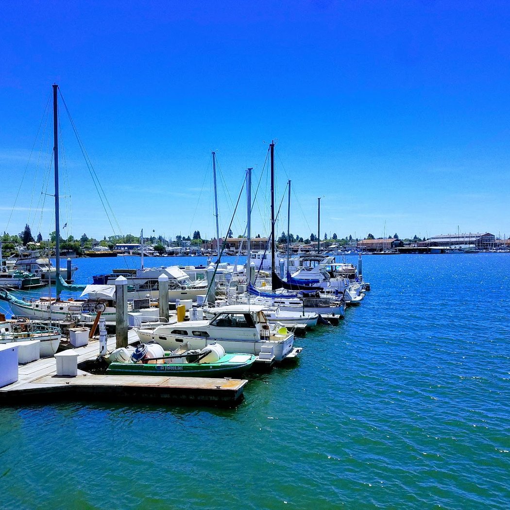 Oakland Estuary Volunteer Beautification Day 1