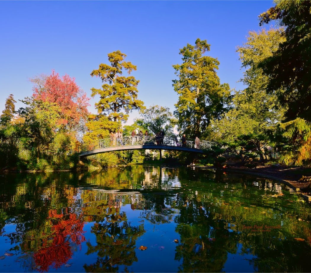 public Garden 1