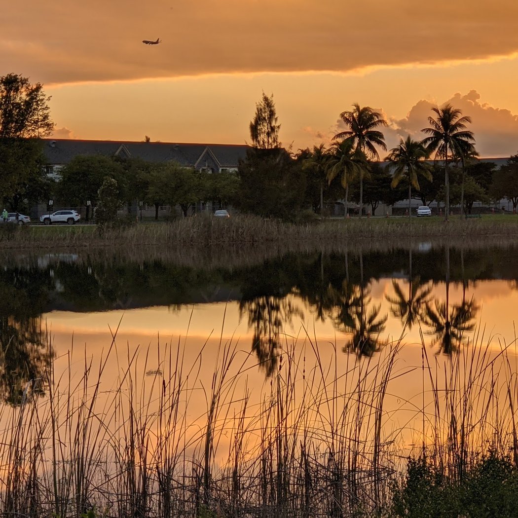 Doral Central Park 1