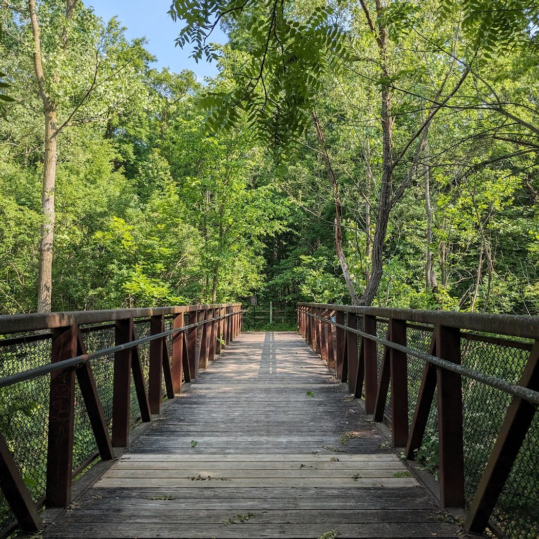 Meet Your Parks with Natural Area Preservation: Wildflower Walk 2