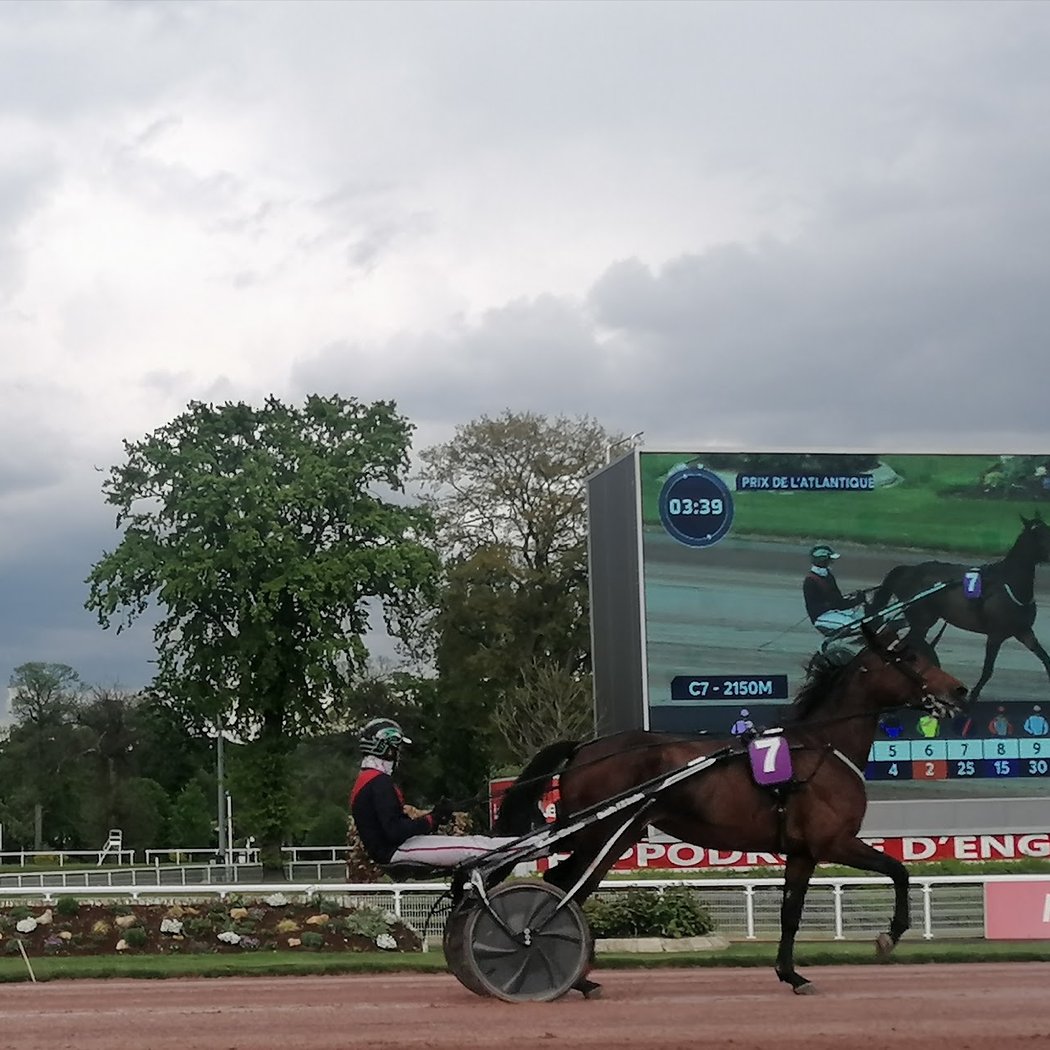Fête du Cheval 3