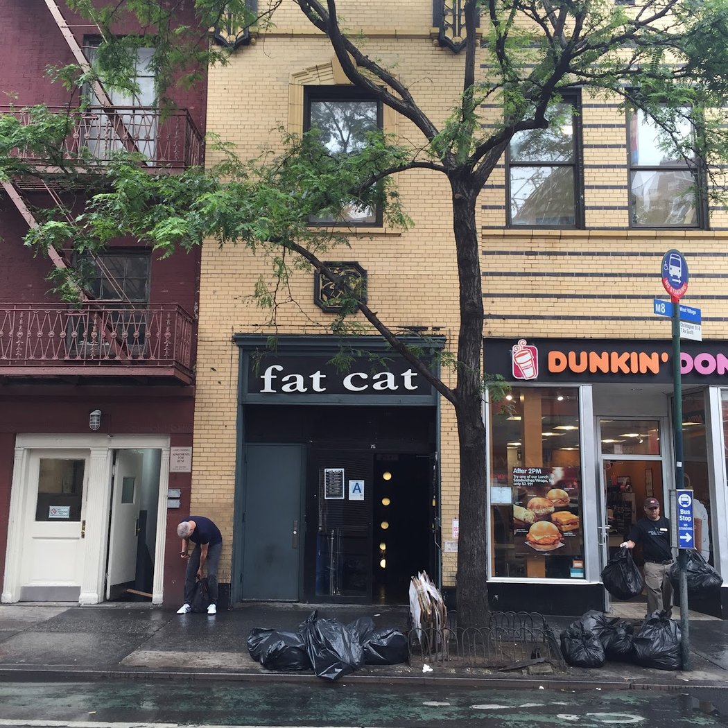 Fat Cat 2