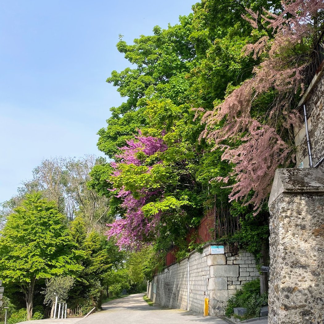 Chemin de Halage - Épinay-sur-Seine 3