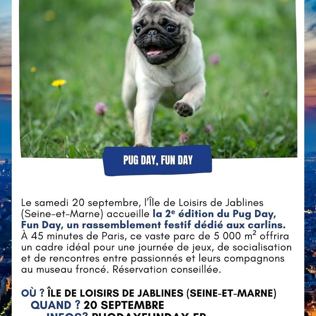 Pug Day, Fun Day 1