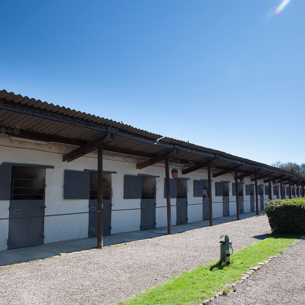 Equestrian Field De Chevillon 2