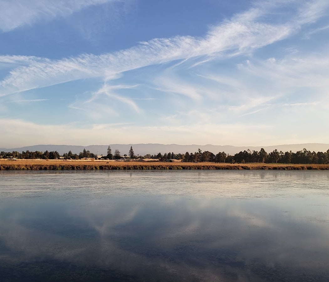 Saratoga Creek 2