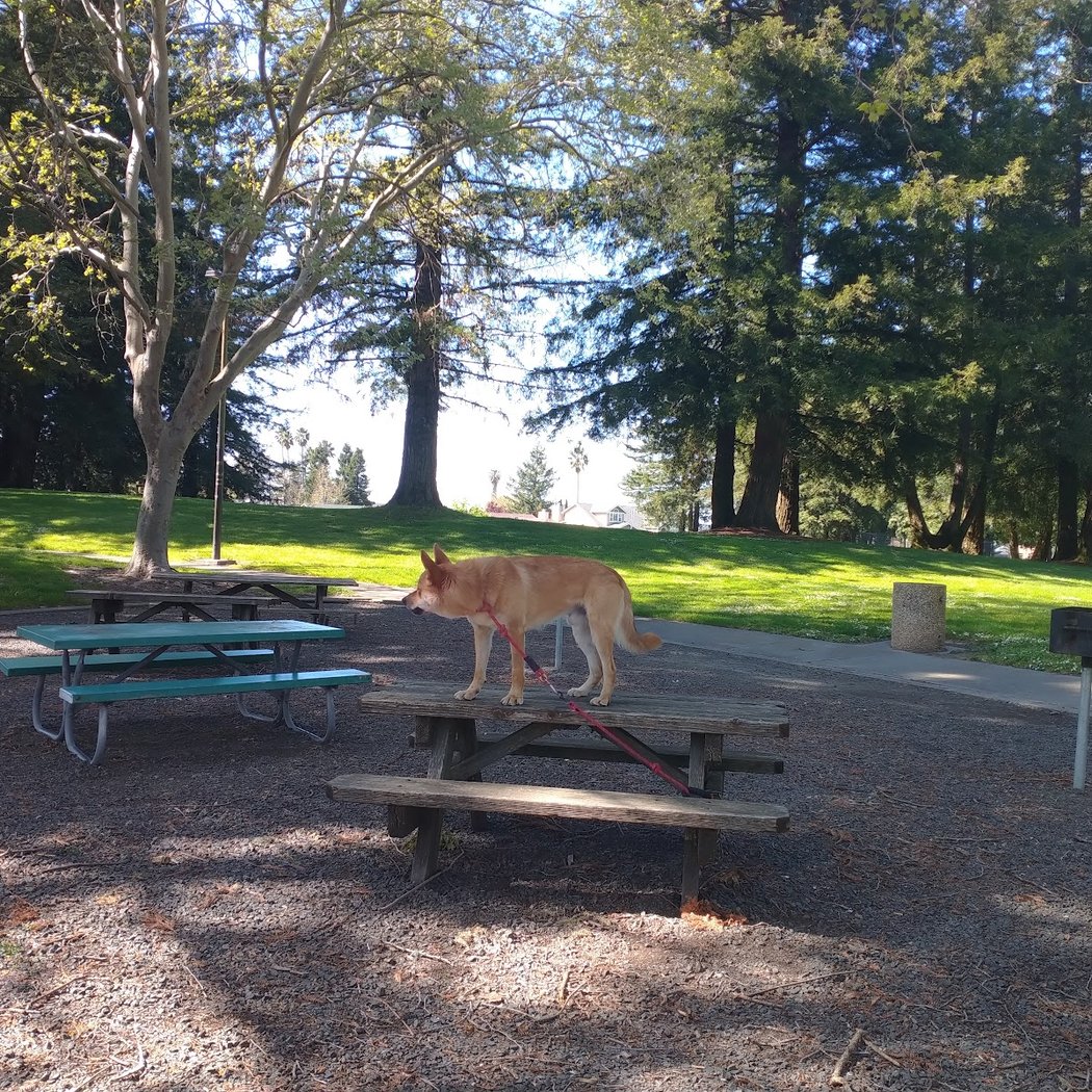 Eagle Park 2