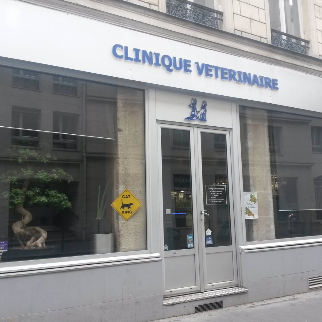 Veterinary Clinic Dr. Frantz Cappé 3