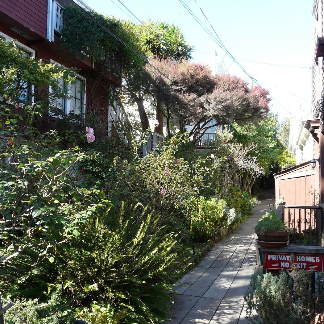 Napier Lane 1