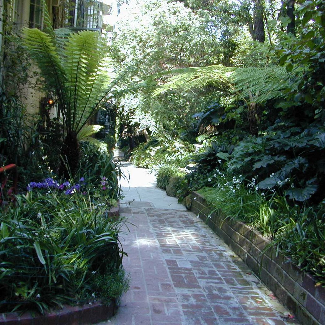 Macondray Lane 2