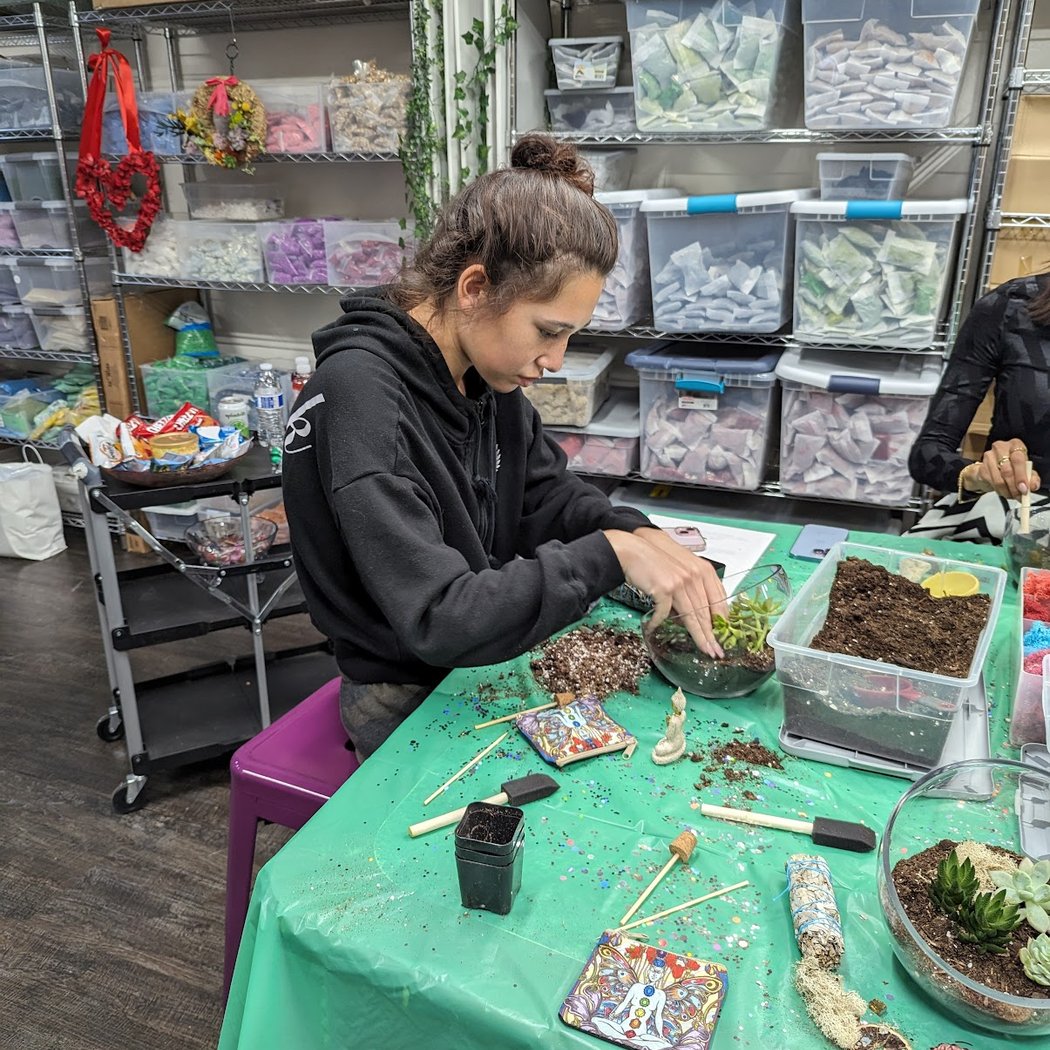 Luludi Living Art Closed Eco-System Terrarium Class 3