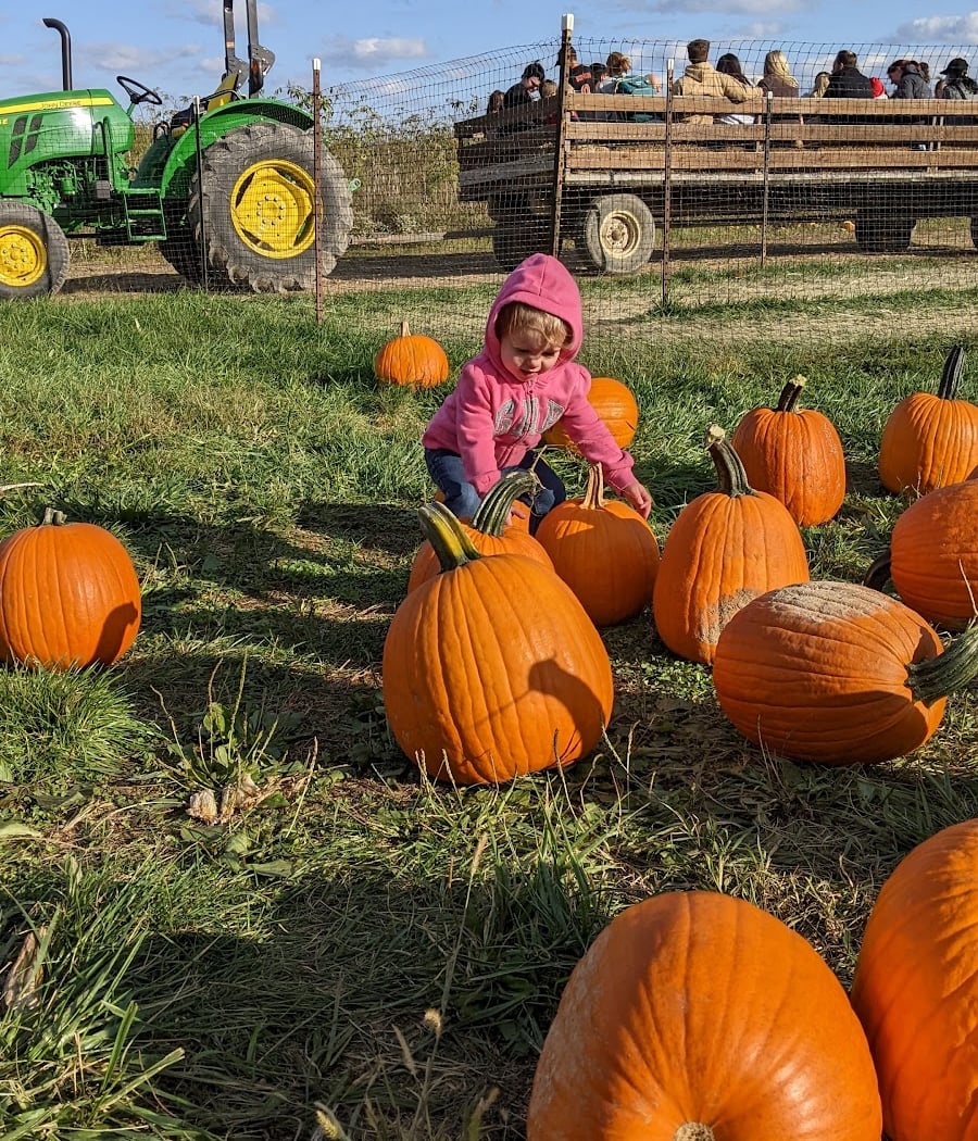 Fall on the Farm 3