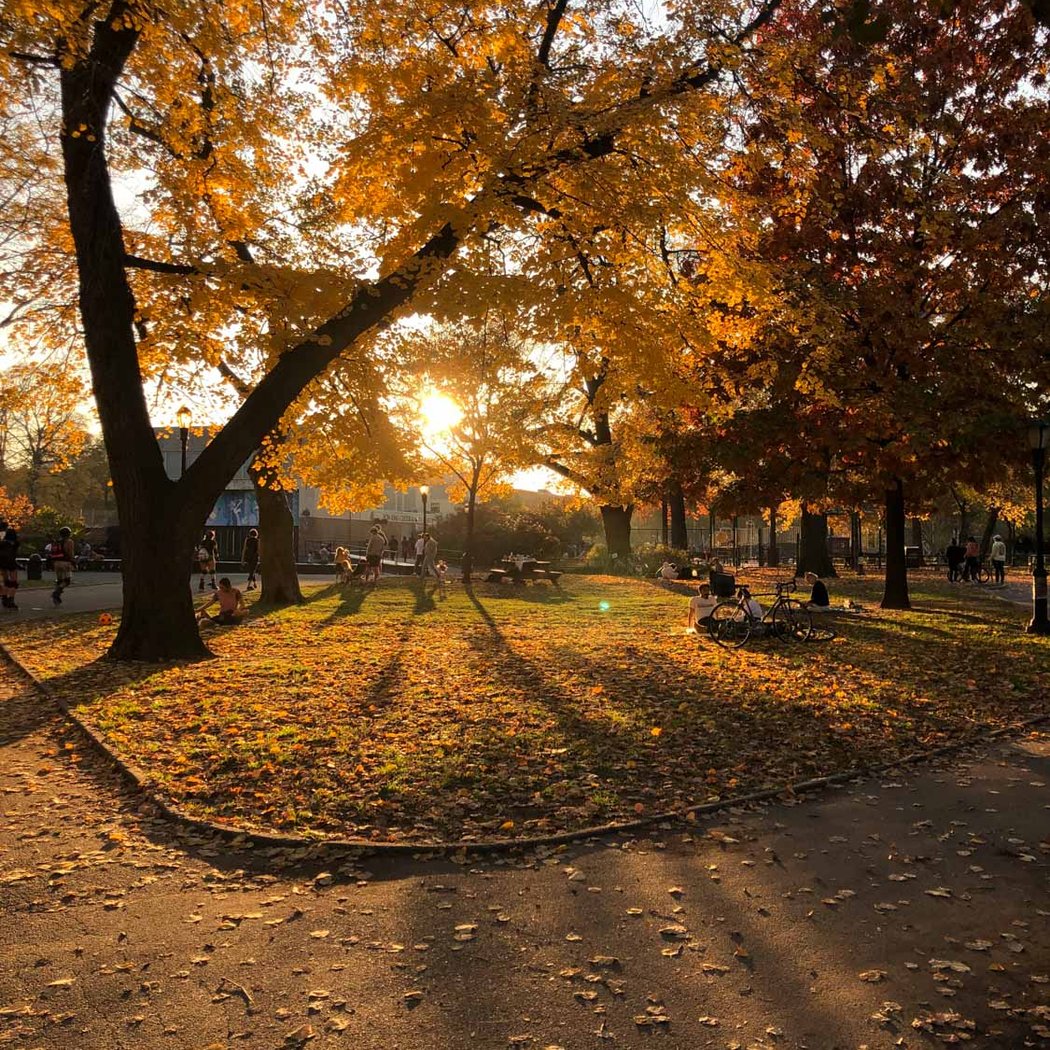 Herbert Von King Park 1