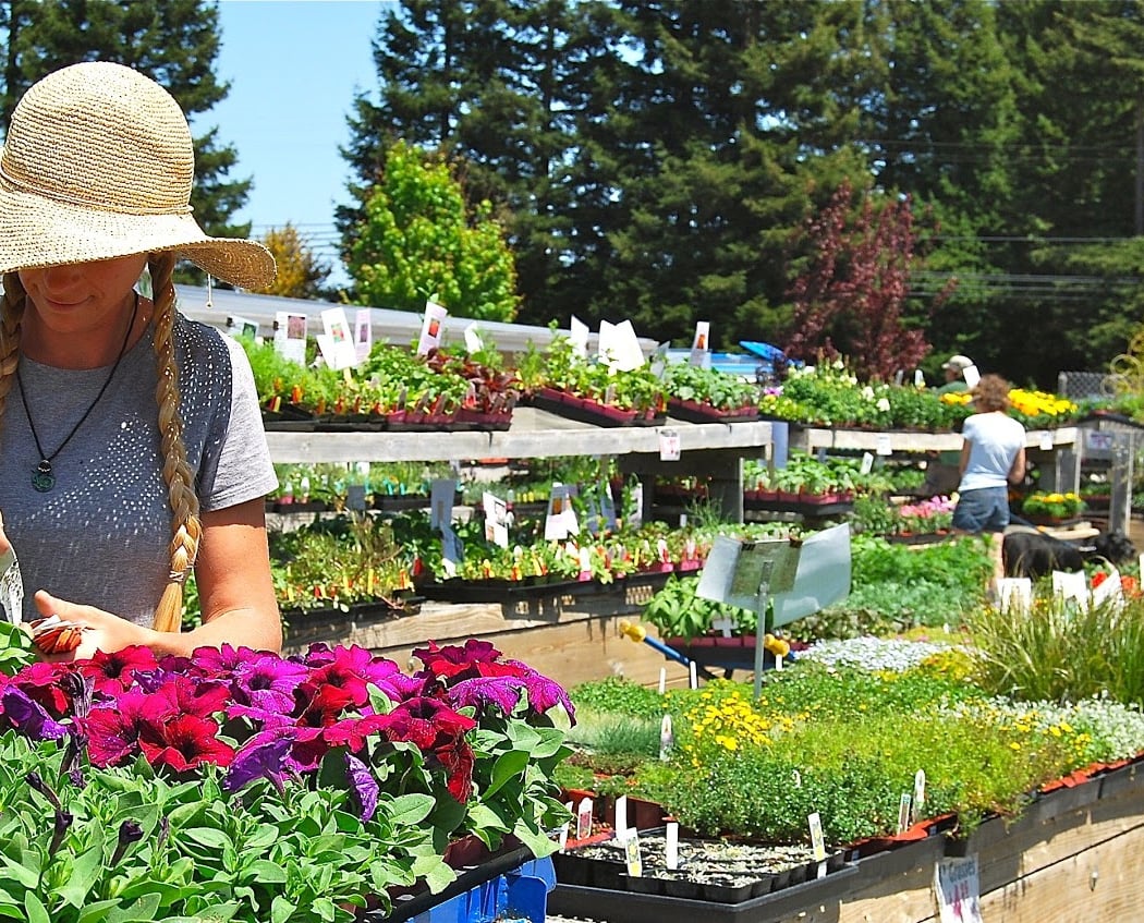 Real Organic Gardening 3