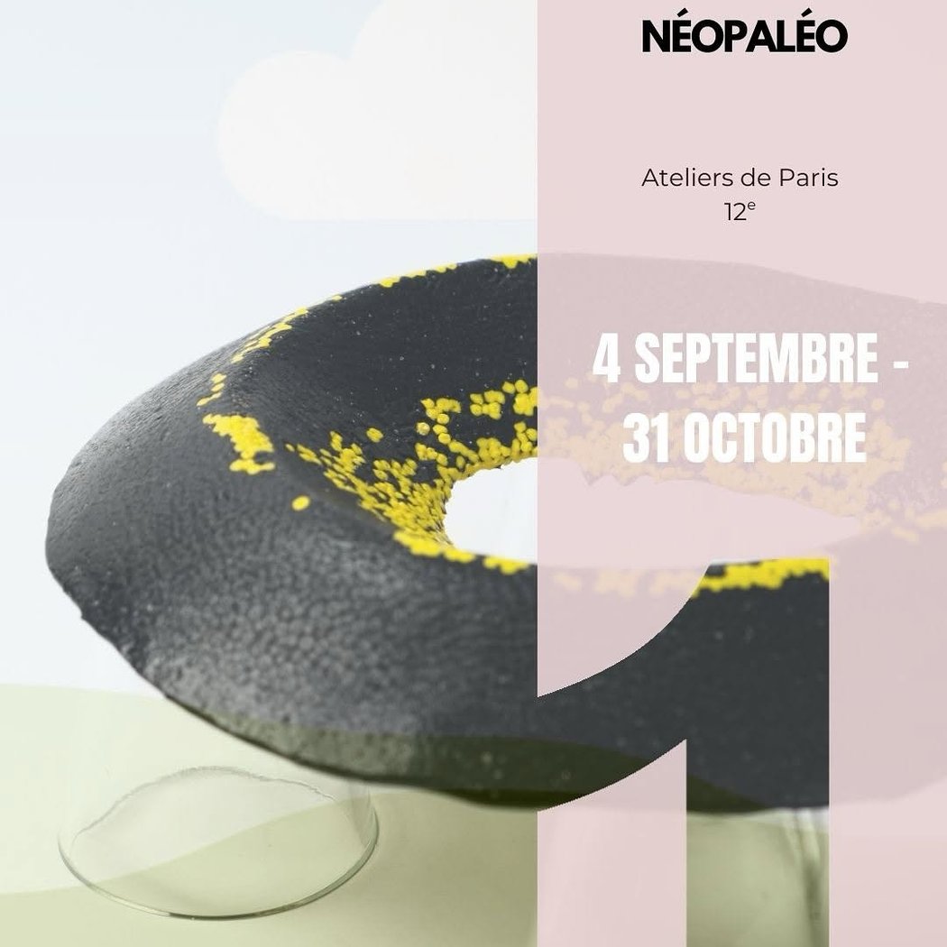 L’expo NéoPaléo 1