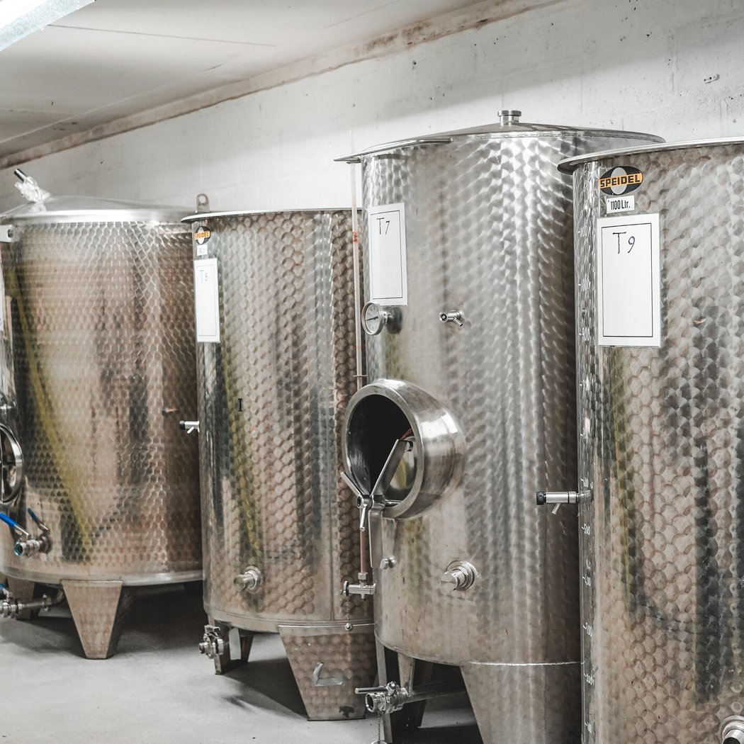 Adgestone Vineyard 2