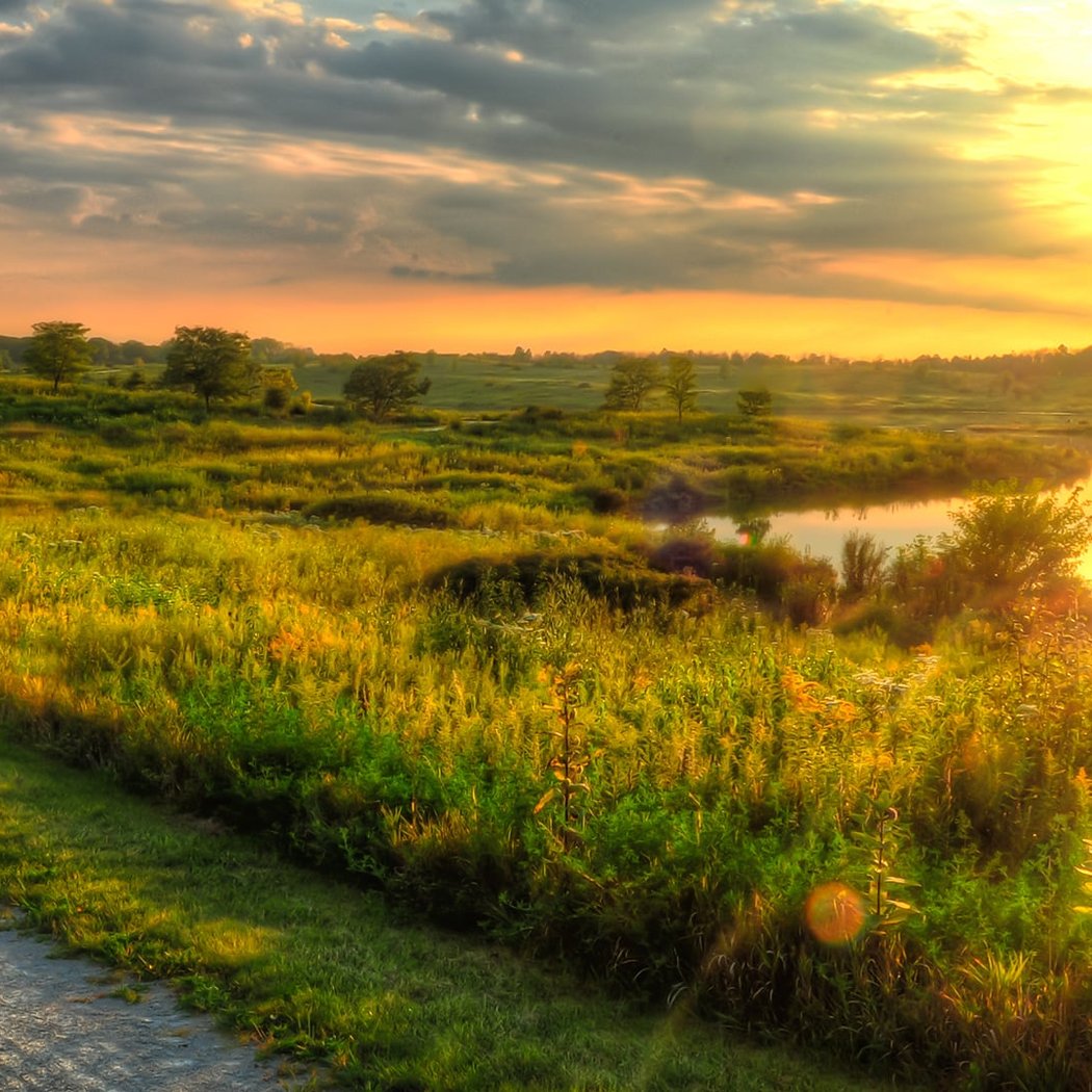 Hidden Lake Forest Preserve 1