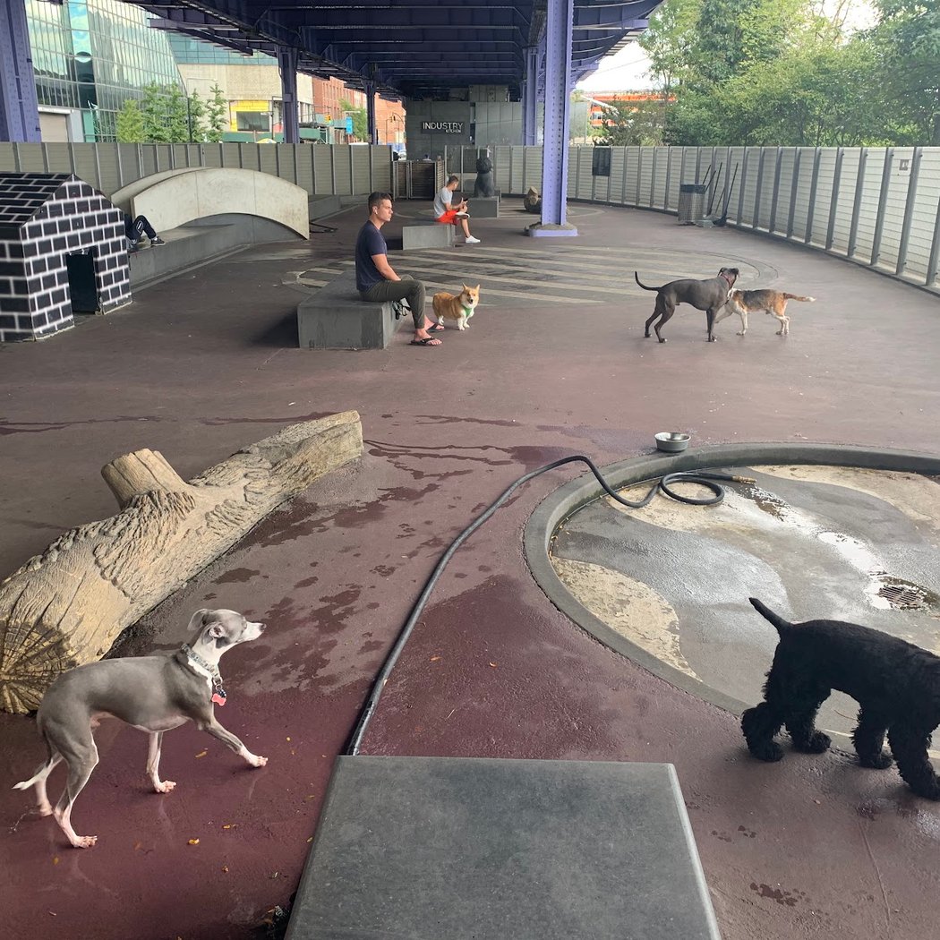 Parks Dog Run 1