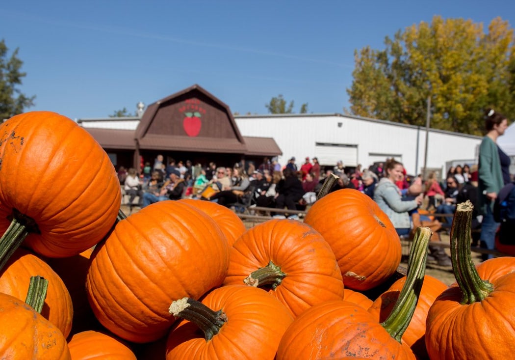 Fall Fest at Jefferson