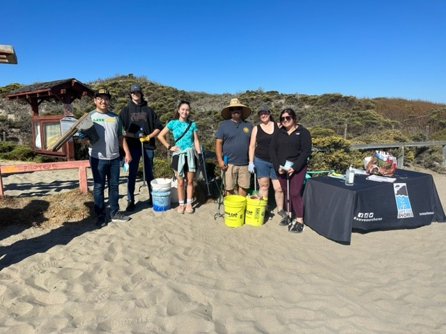 Beach Cleanup 1