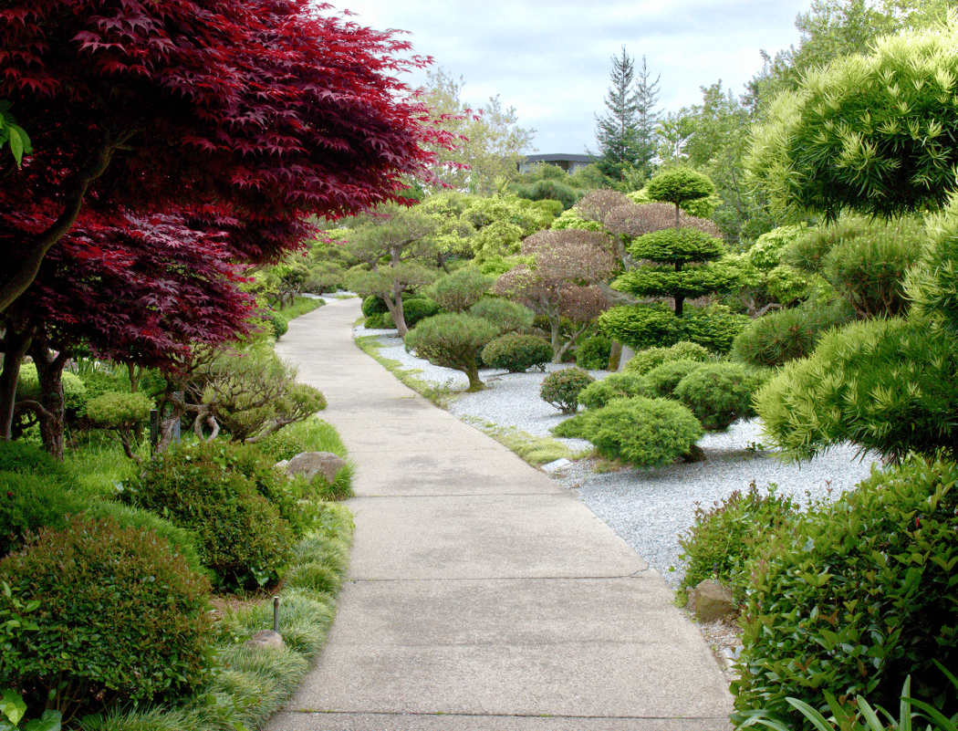 Hayward Japanese Gardens 2