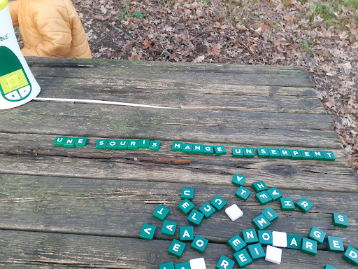 Bahurel Woods 2