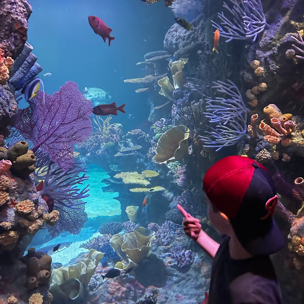 Point Defiance Zoo & Aquarium 1