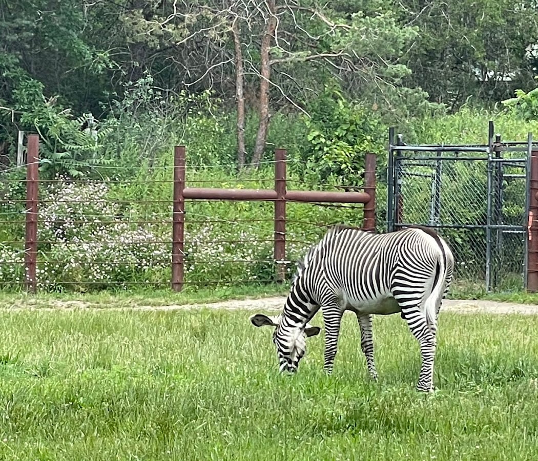 Franklin Park Zoo 3