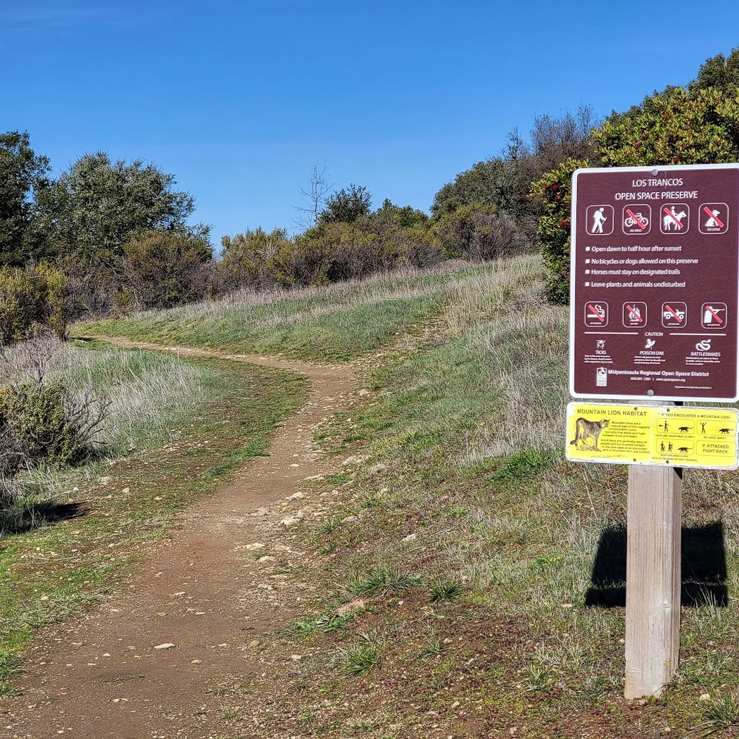Los Trancos Open Space Preserve 2