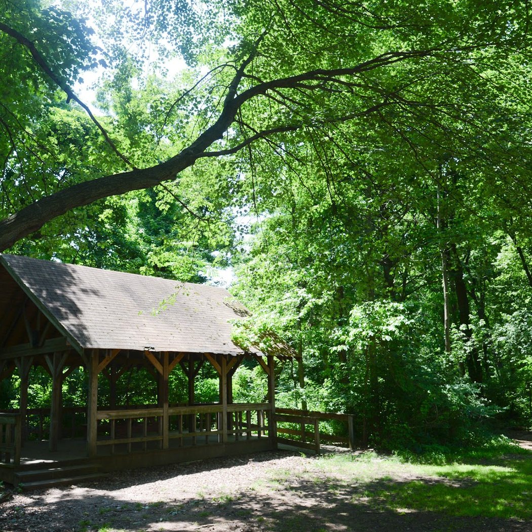Blue Heron Park 2