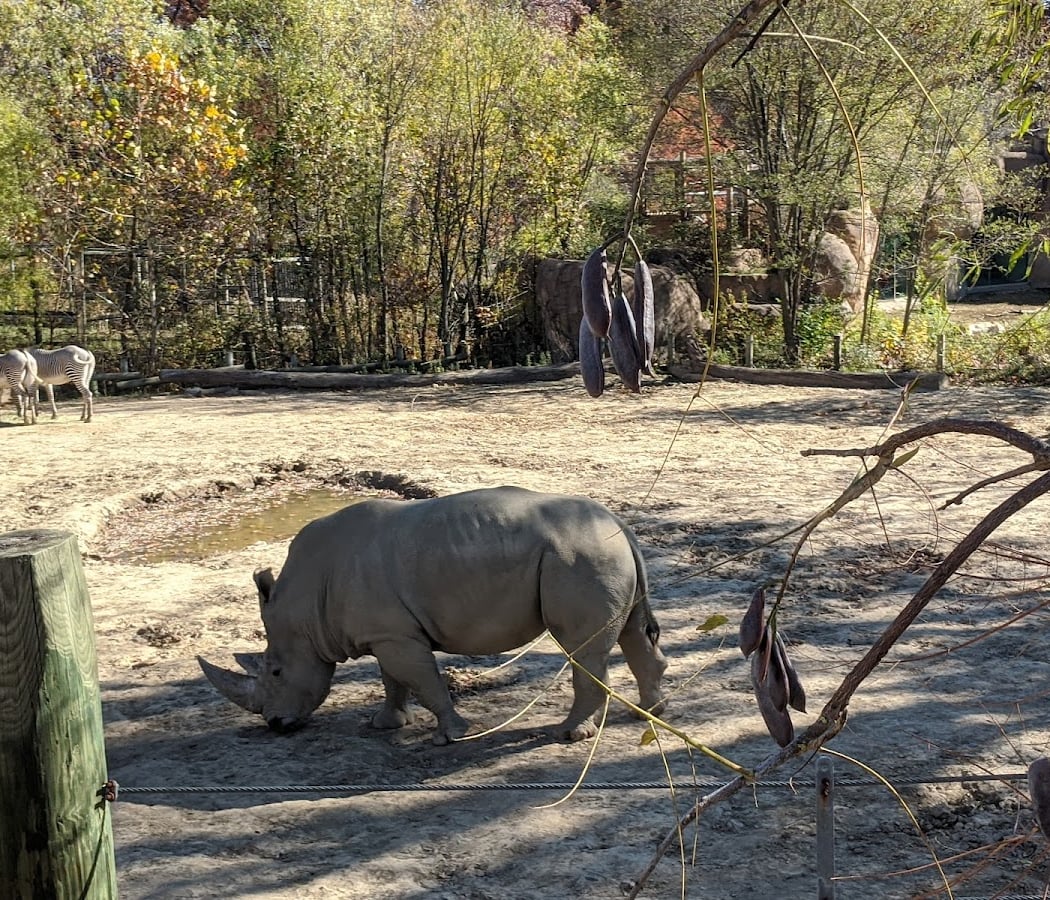 Peoria Zoo 3