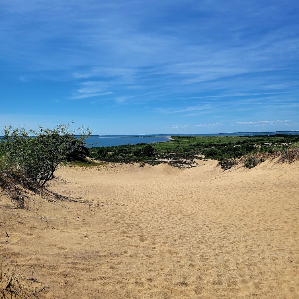 Walking Dunes Trail 2