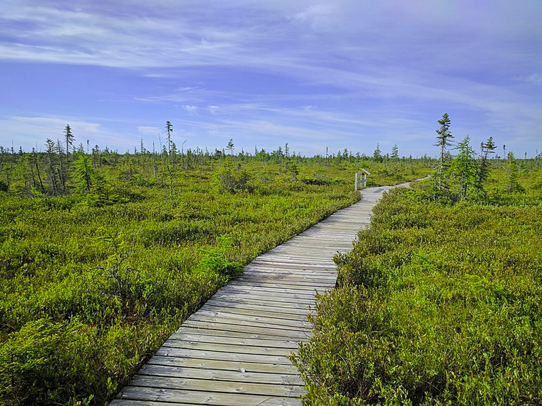 Kouchibouguac National Park 1