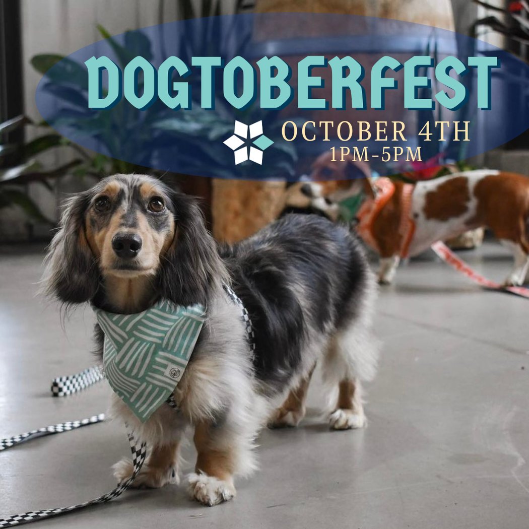 Dogtoberfest