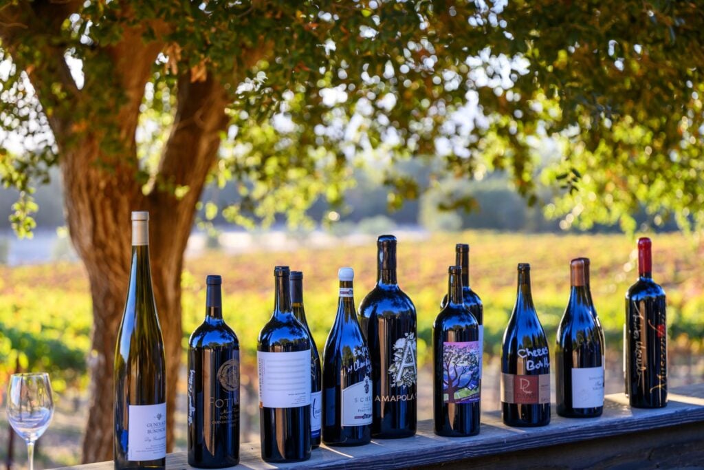 Sonoma Valley Vintage Festival