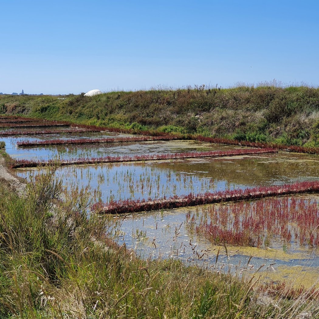 saline le gahet 3