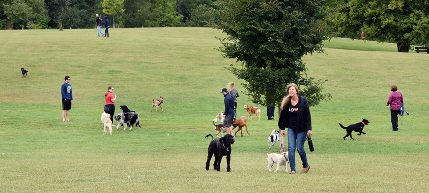 Orion Oaks Dog Park 2