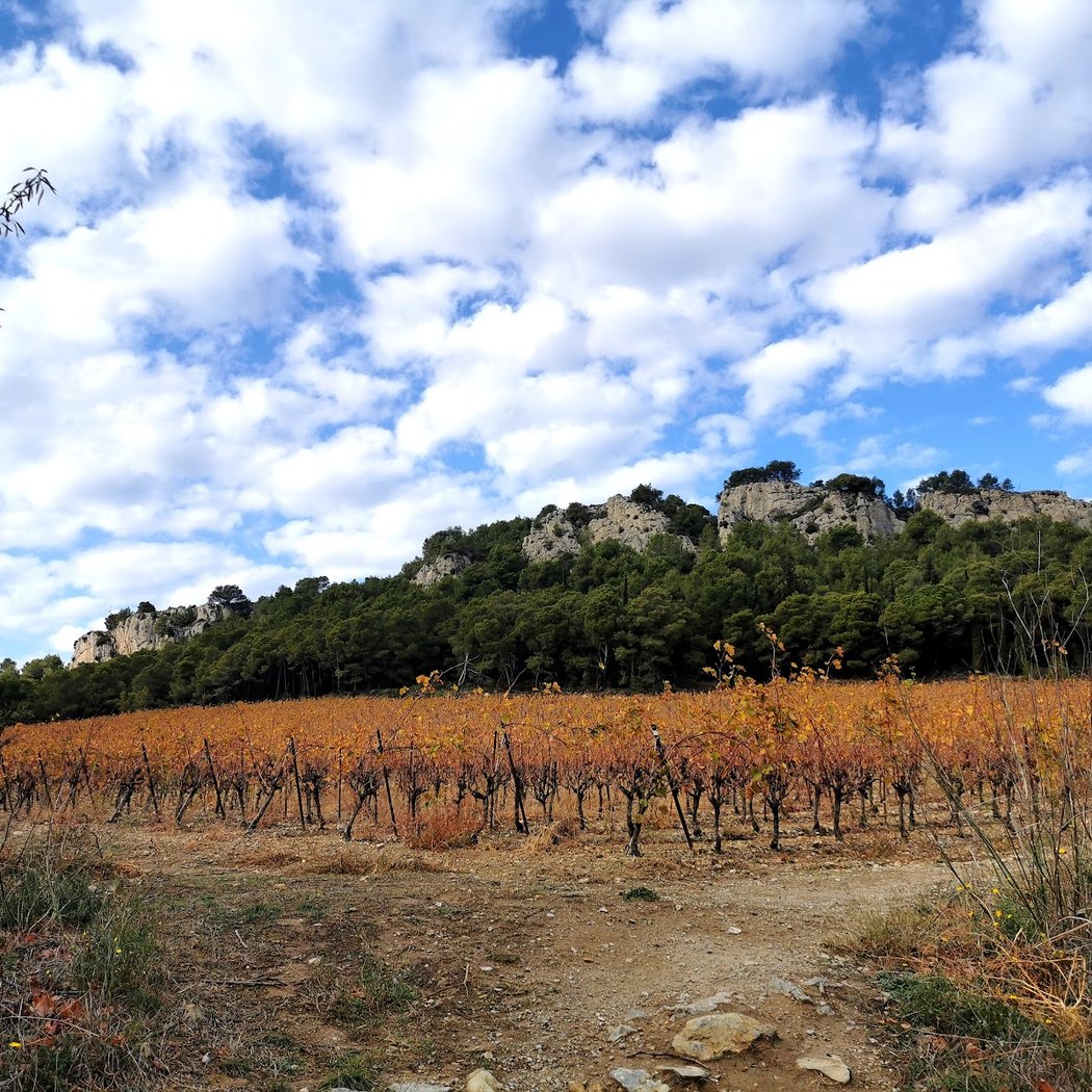 Massif de la Clape 1