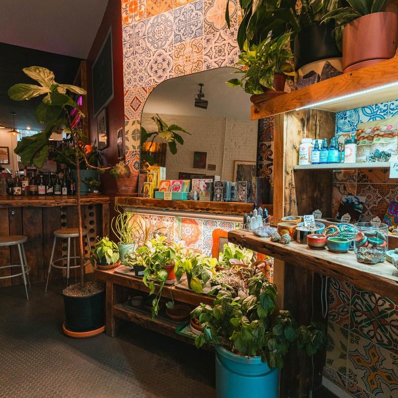 ​planted Cafe 3
