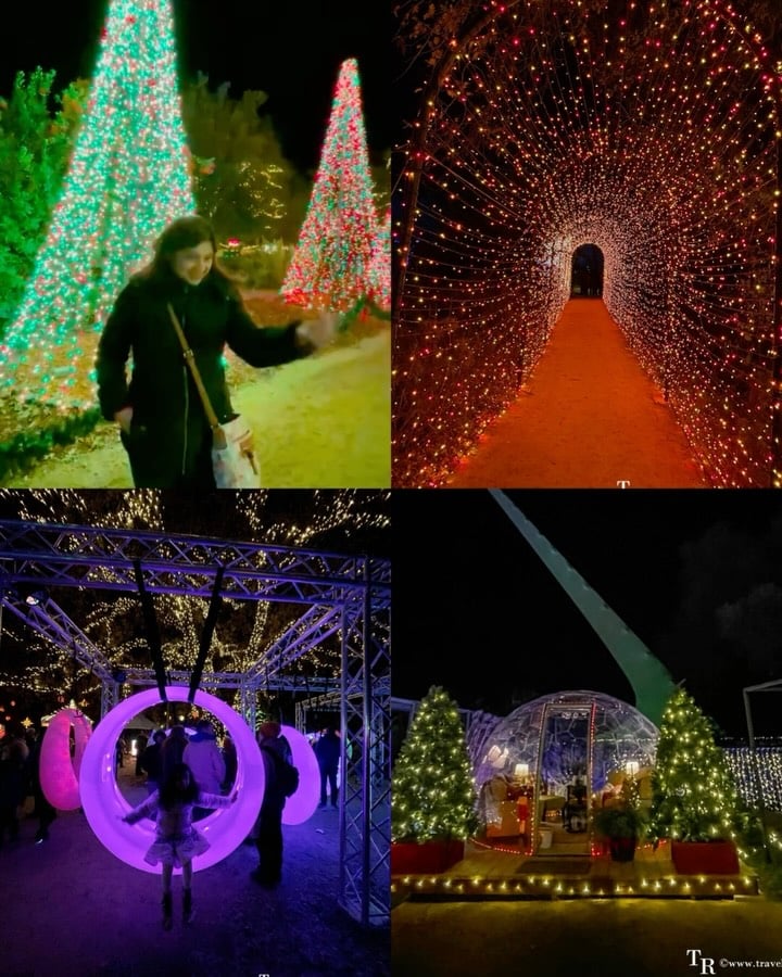 Redding Garden of Lights 3