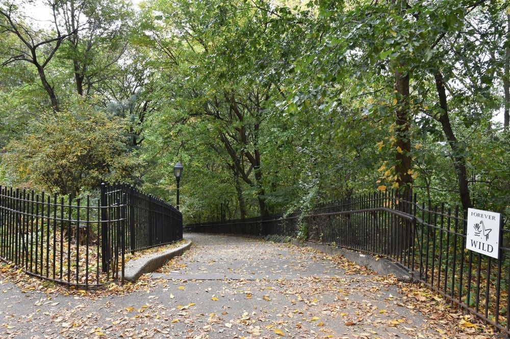 Riverkeeper Sweep 4
