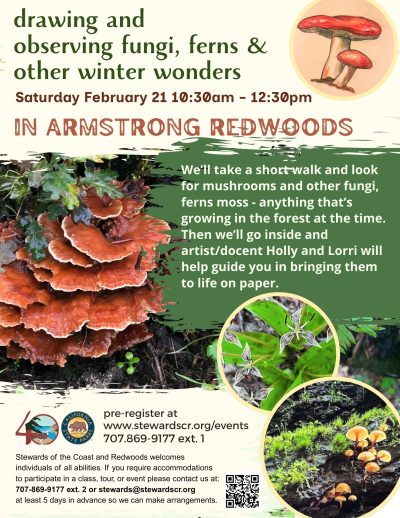 Drawing and observing fungi, ferns, and other winter wonders 1